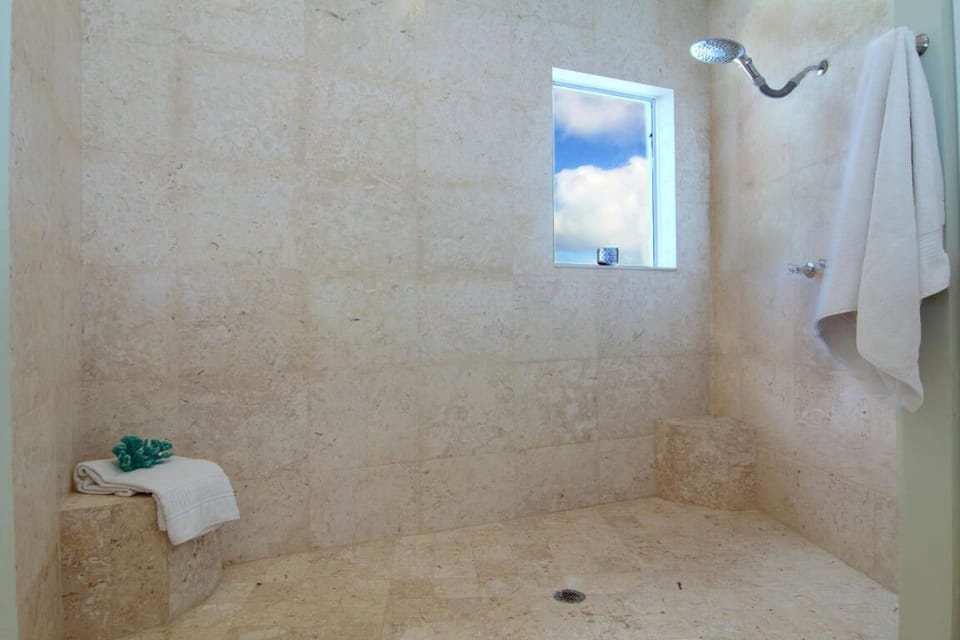 Master shower