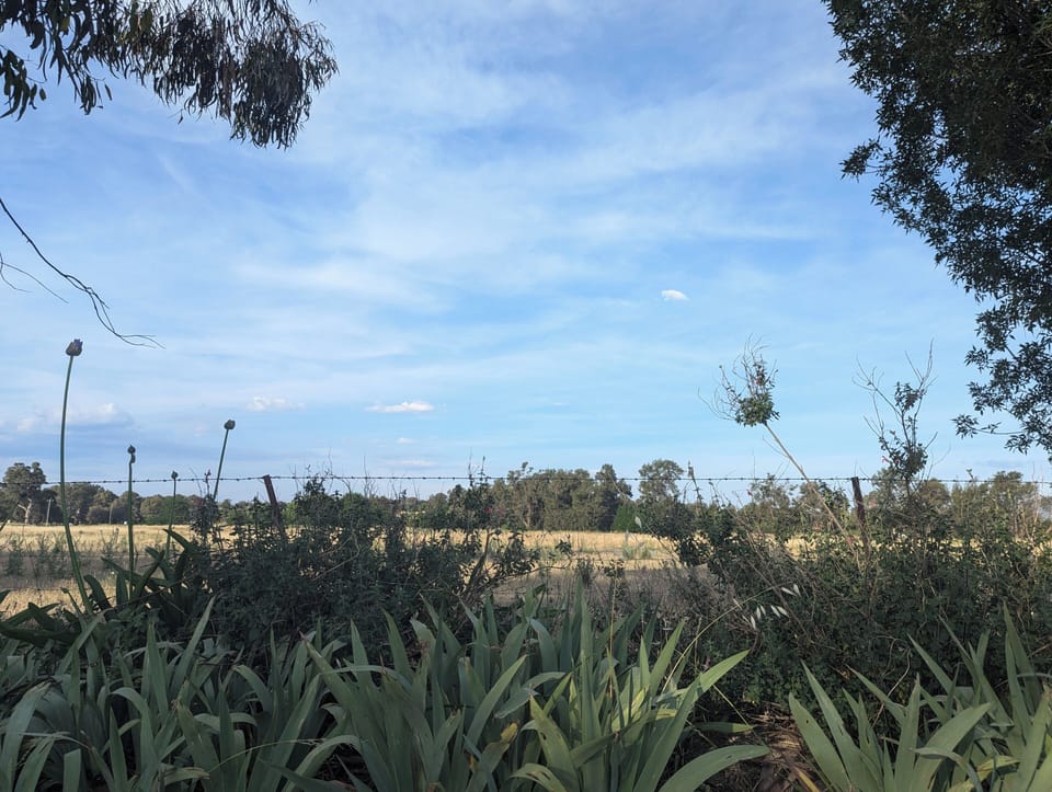 View from property