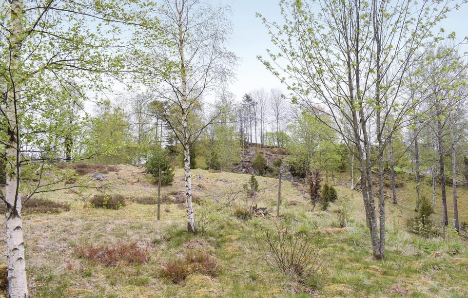 area