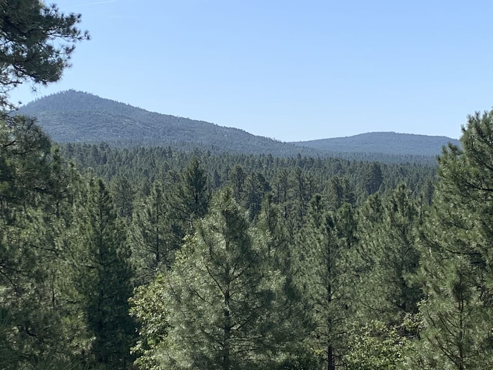 View from the back of the property.