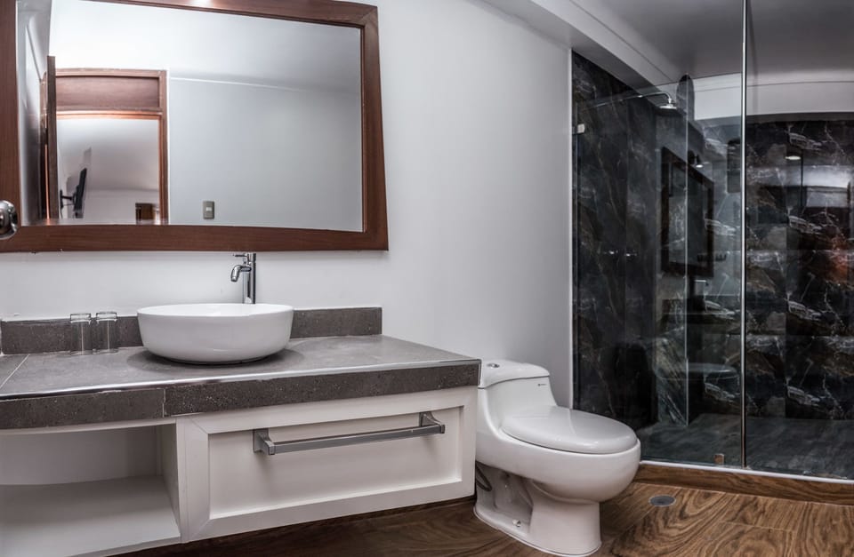 Shower, rainfall showerhead, free toiletries, hair dryer (on request)