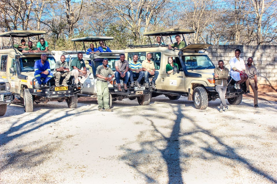 Safari