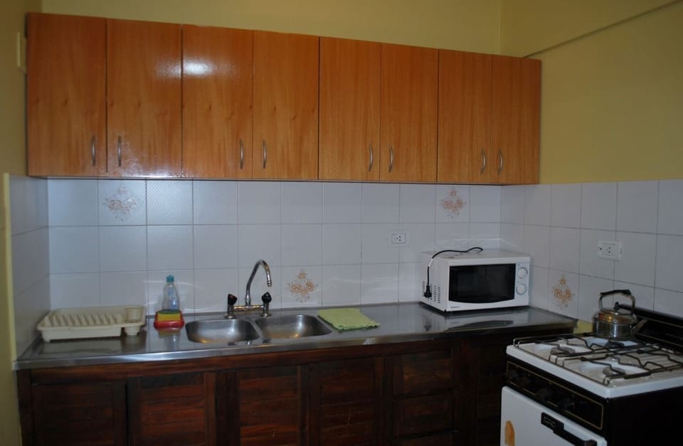 Basic Apartment | Private kitchen | Full-size fridge, microwave, oven, stovetop