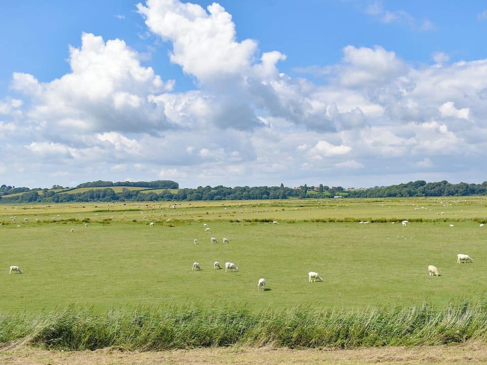 Surrounding area | Newhope, Winchelsea Beach, near Rye