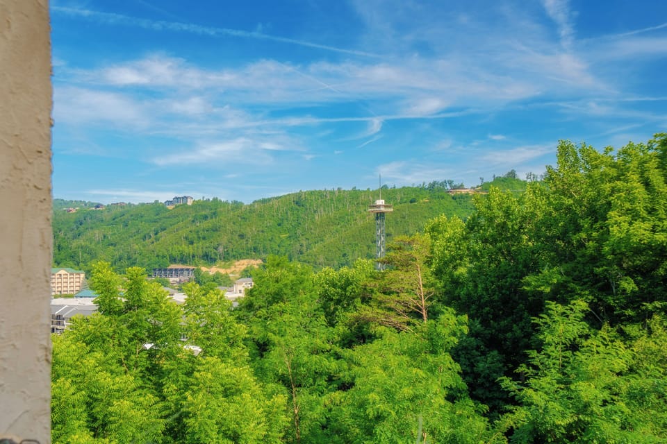 Mountain views framed by lush green forests and a vibrant blue sky, with a distinctive observation tower visible in the valley below, offering a serene natural backdrop.
