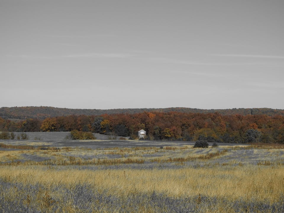 Fall view 2018!