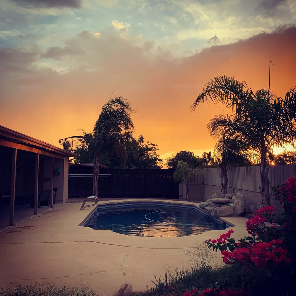 Pool and covered patio with palm trees
