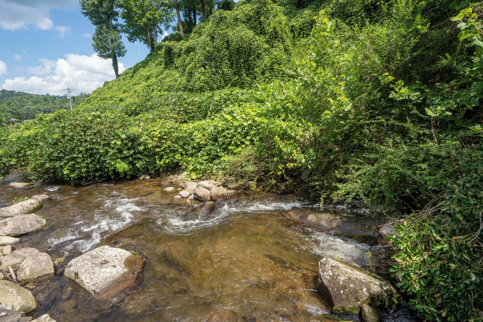 A scenic stream winds through lush hillsides, framed by abundant greenery and vibrant natural landscape near the property.