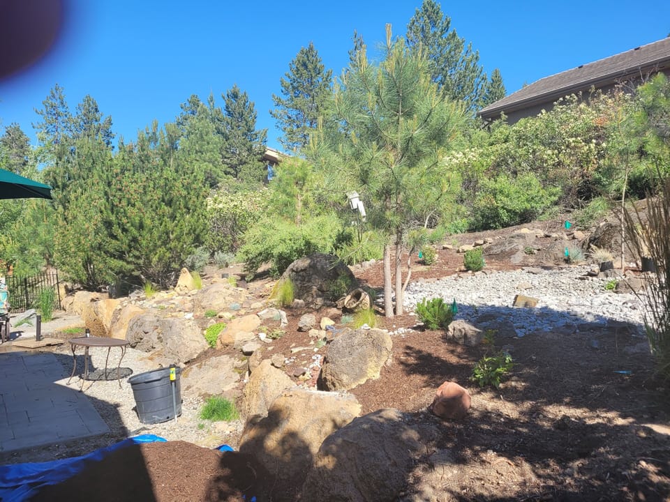 Backyard hillside and afternoon patio shade. Sunny for coffee in the morning.