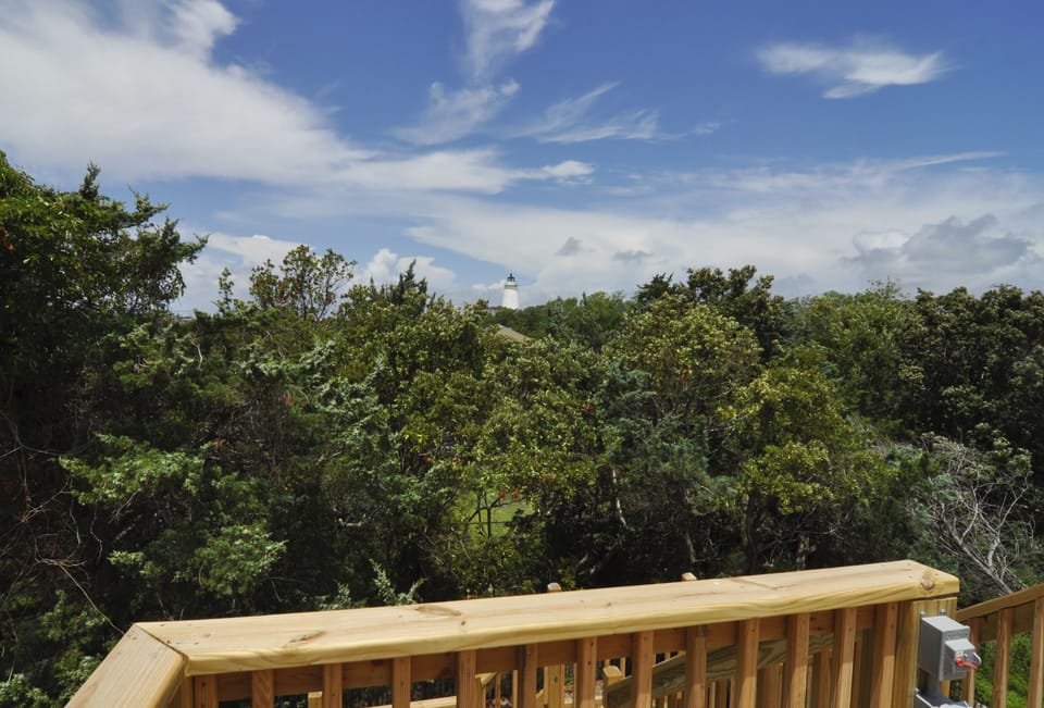 Crow's Nest View