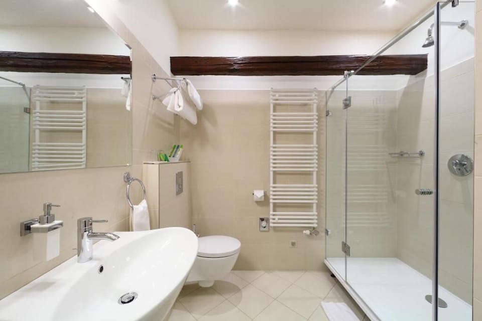 Shower, hair dryer, bathrobes, slippers