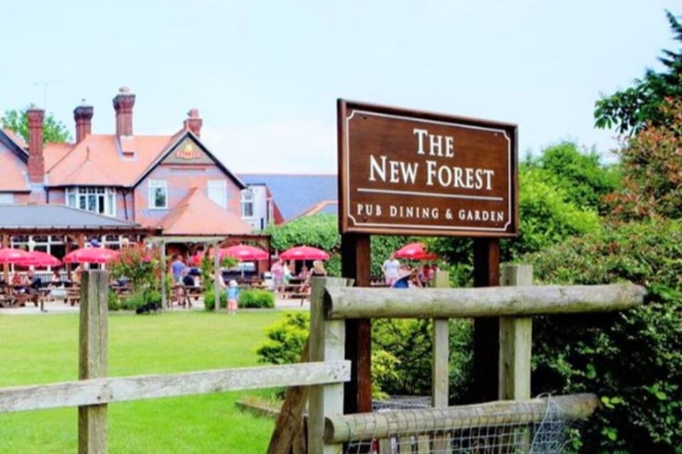New Forest 10 min Drive