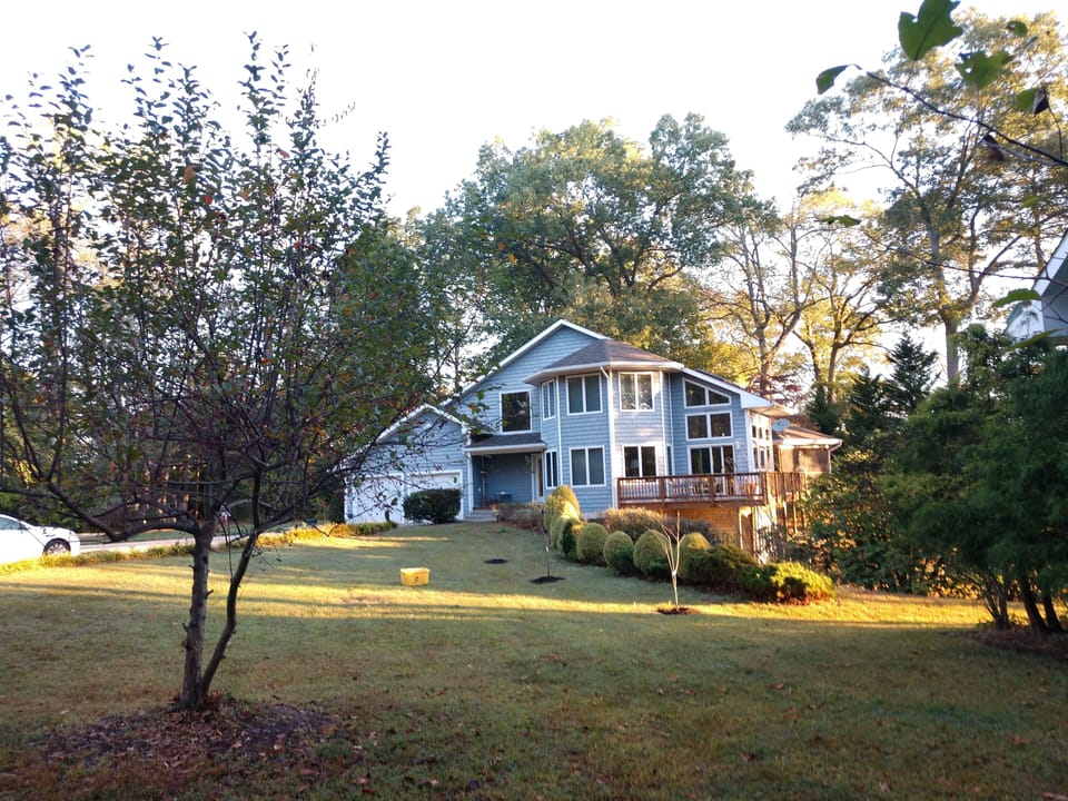 Large yard, safe haven...
