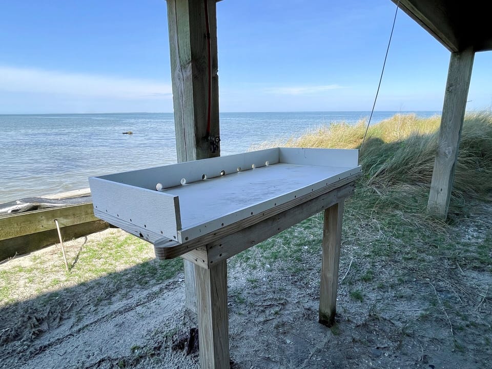 Fish Bench