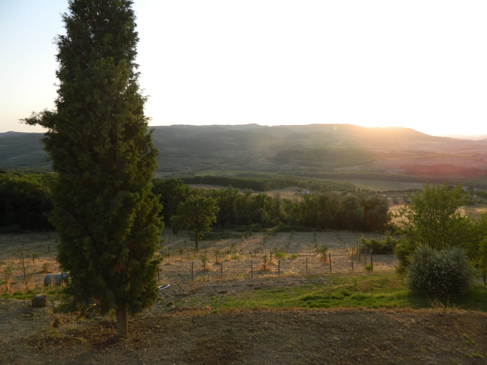 Land view from property