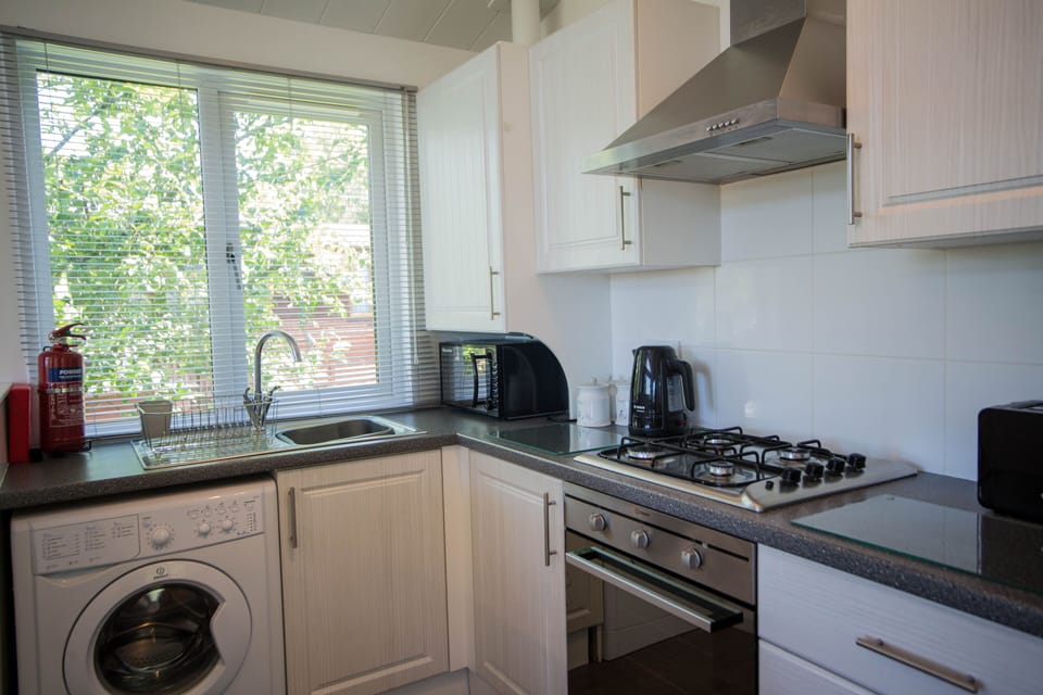 Cabin | Private kitchen | Fridge, microwave, oven, stovetop