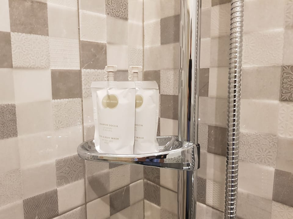 Shower, free toiletries, hair dryer, bidet