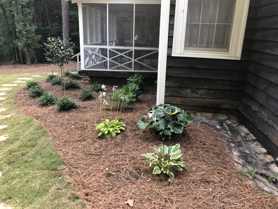 new landscaping