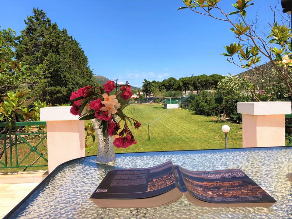 Front Yard