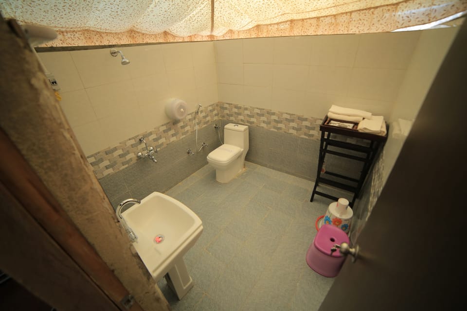 Shower, free toiletries, hair dryer (on request), bathrobes