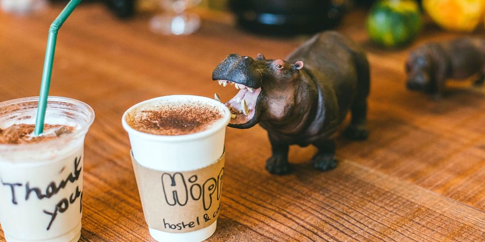 Cafe