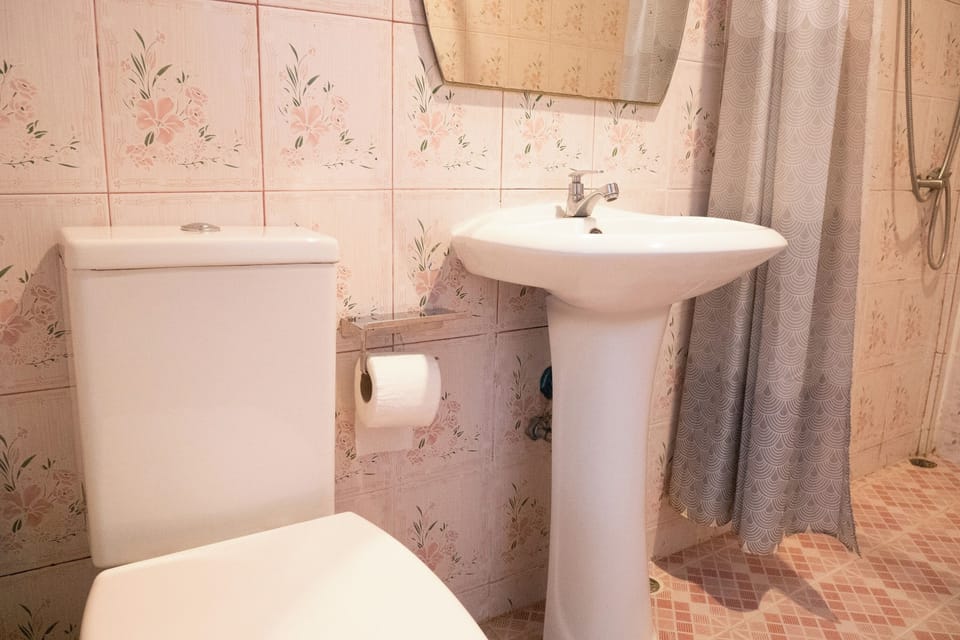 Superior Double Room | Bathroom | Shower, towels, soap, shampoo