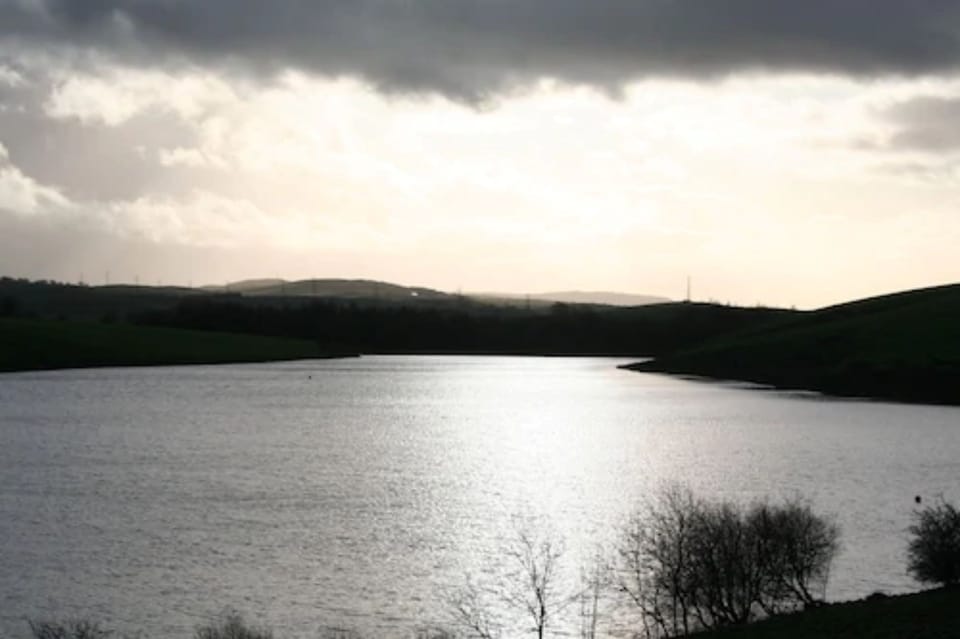 Lake view