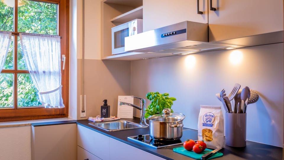 Comfort Double Room | Private kitchen | Cookware/dishes/utensils, eco-friendly cleaning products