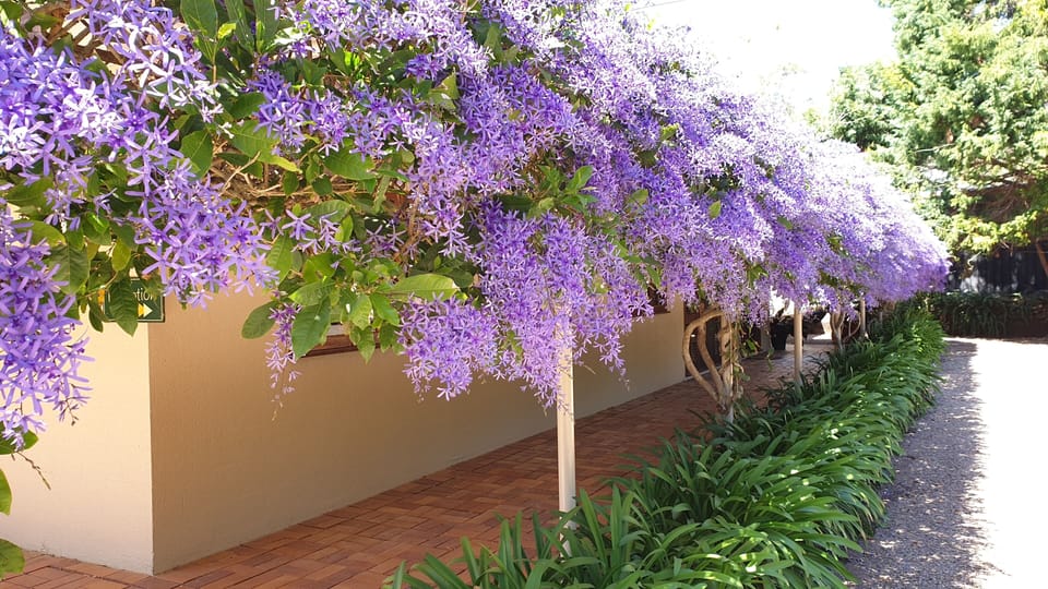 Bendles Cottages and Country Villas Bed and Breakfast in Balmoral Ridge