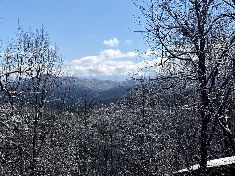 Winter Views from our deck!