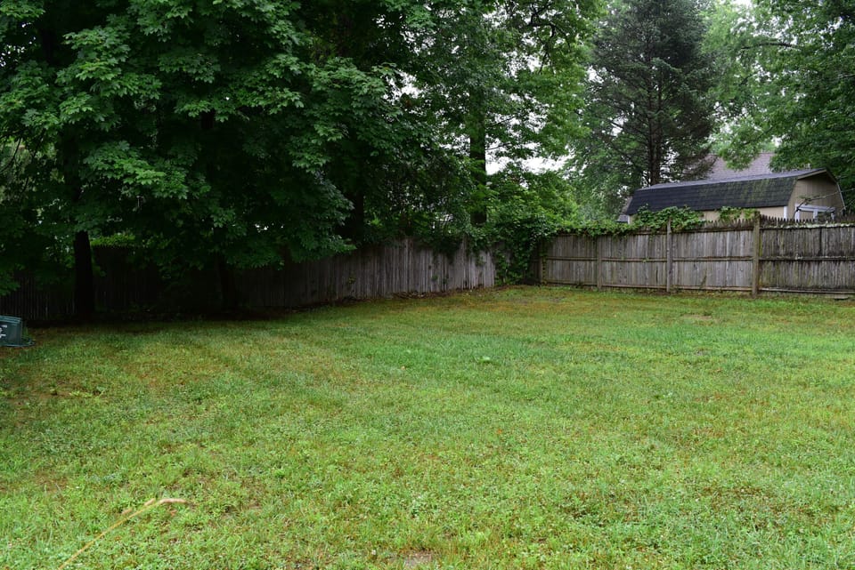 Backyard
