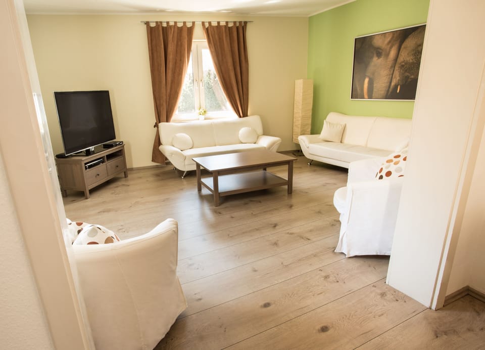 Luxury Apartment, 2 Bedrooms, Kitchen | Living area | 25-inch TV with cable channels
