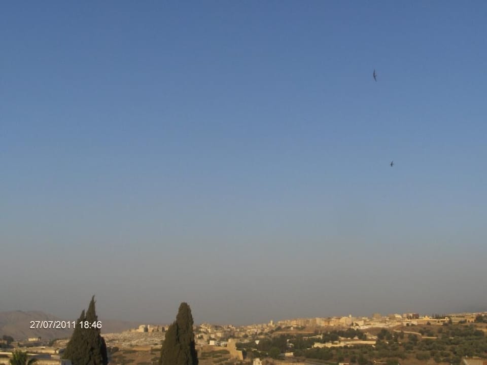 City view from property
