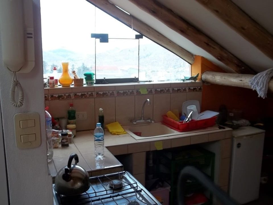 Fridge, oven, griddle, cookware/dishes/utensils