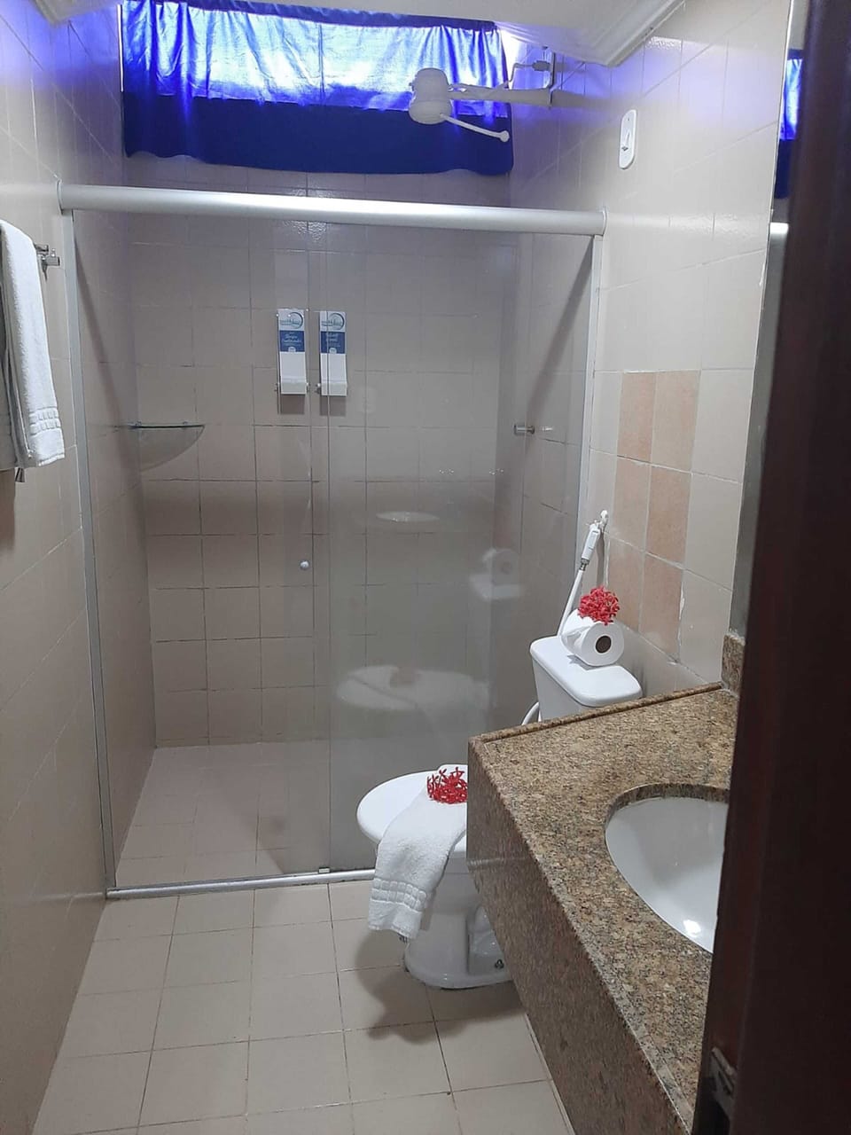 Standard Double or Twin Room | Bathroom | Shower, free toiletries, hair dryer, towels