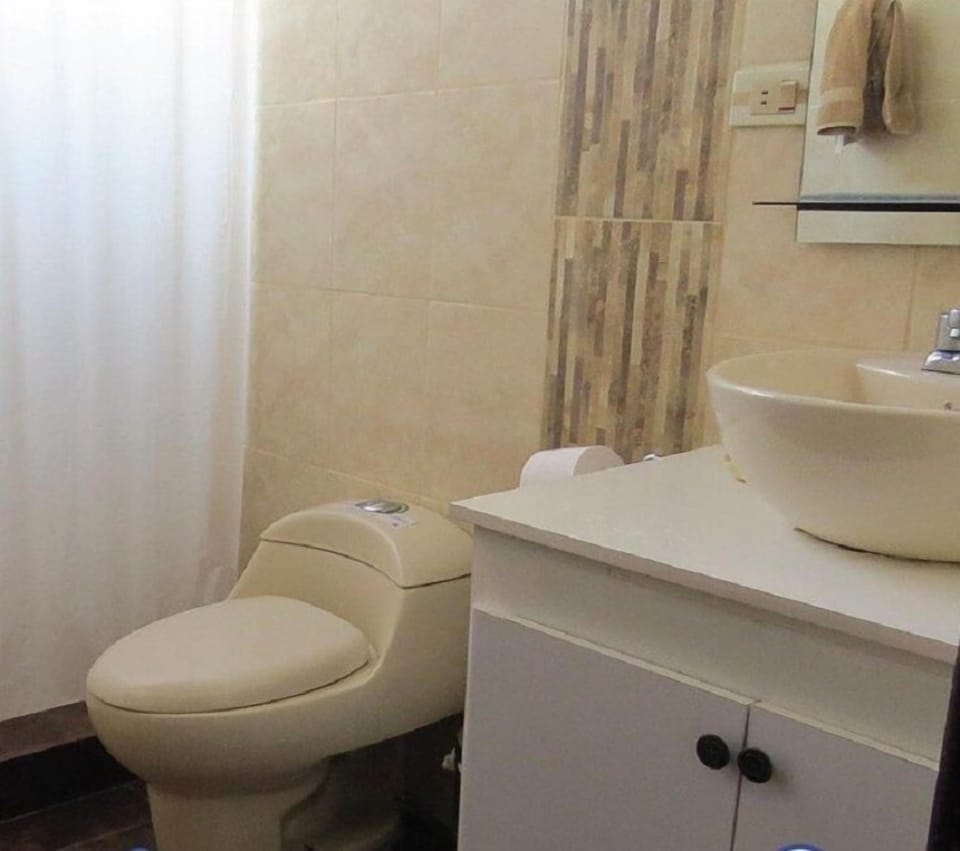 Shower, towels, soap, toilet paper