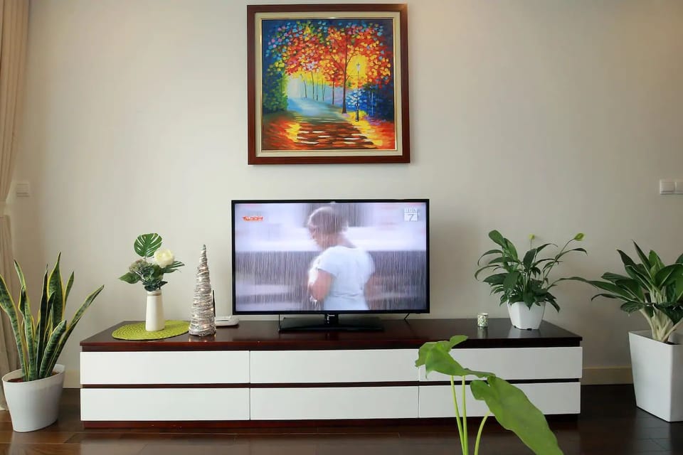 Television