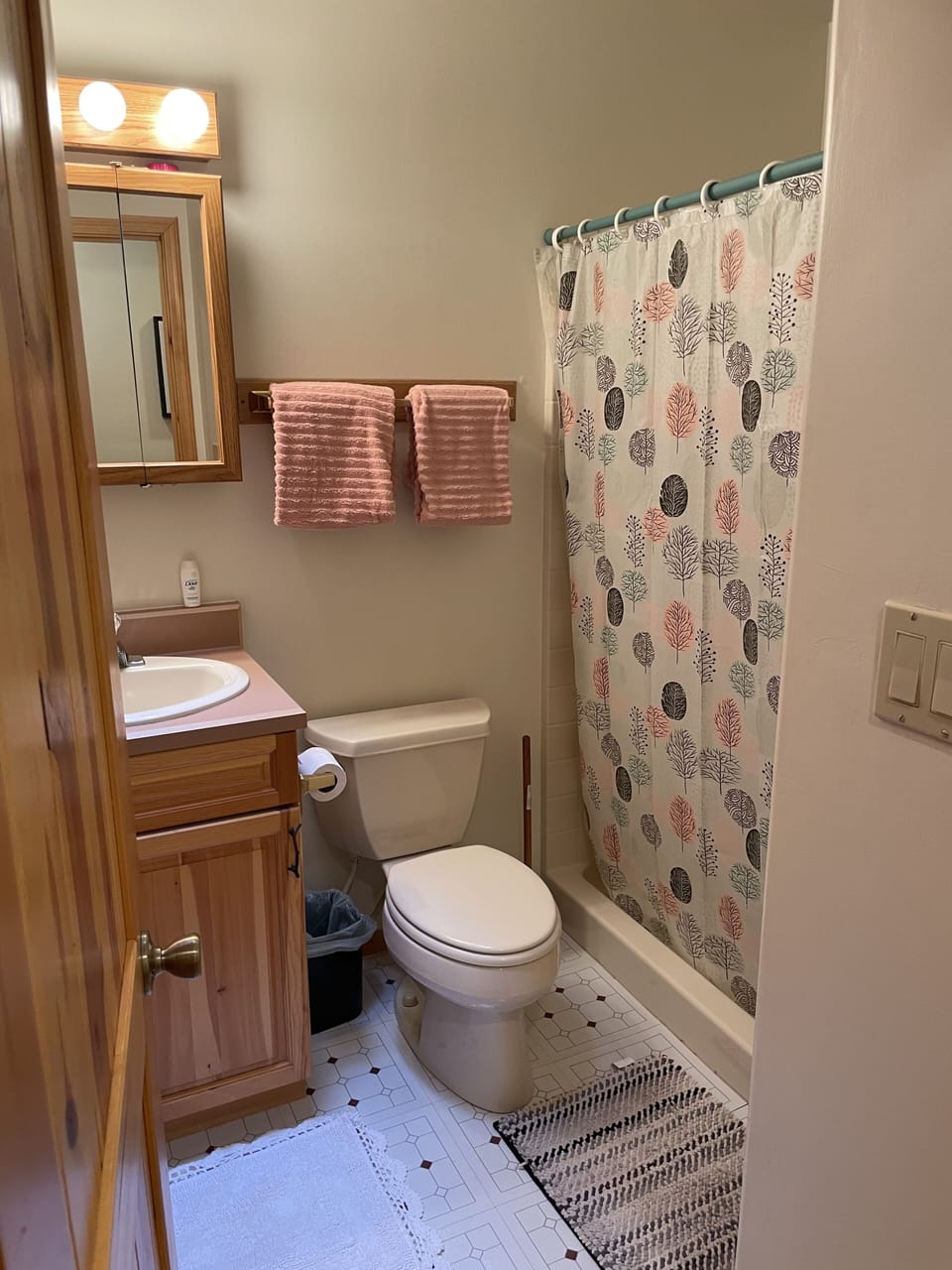 Guest bathroom