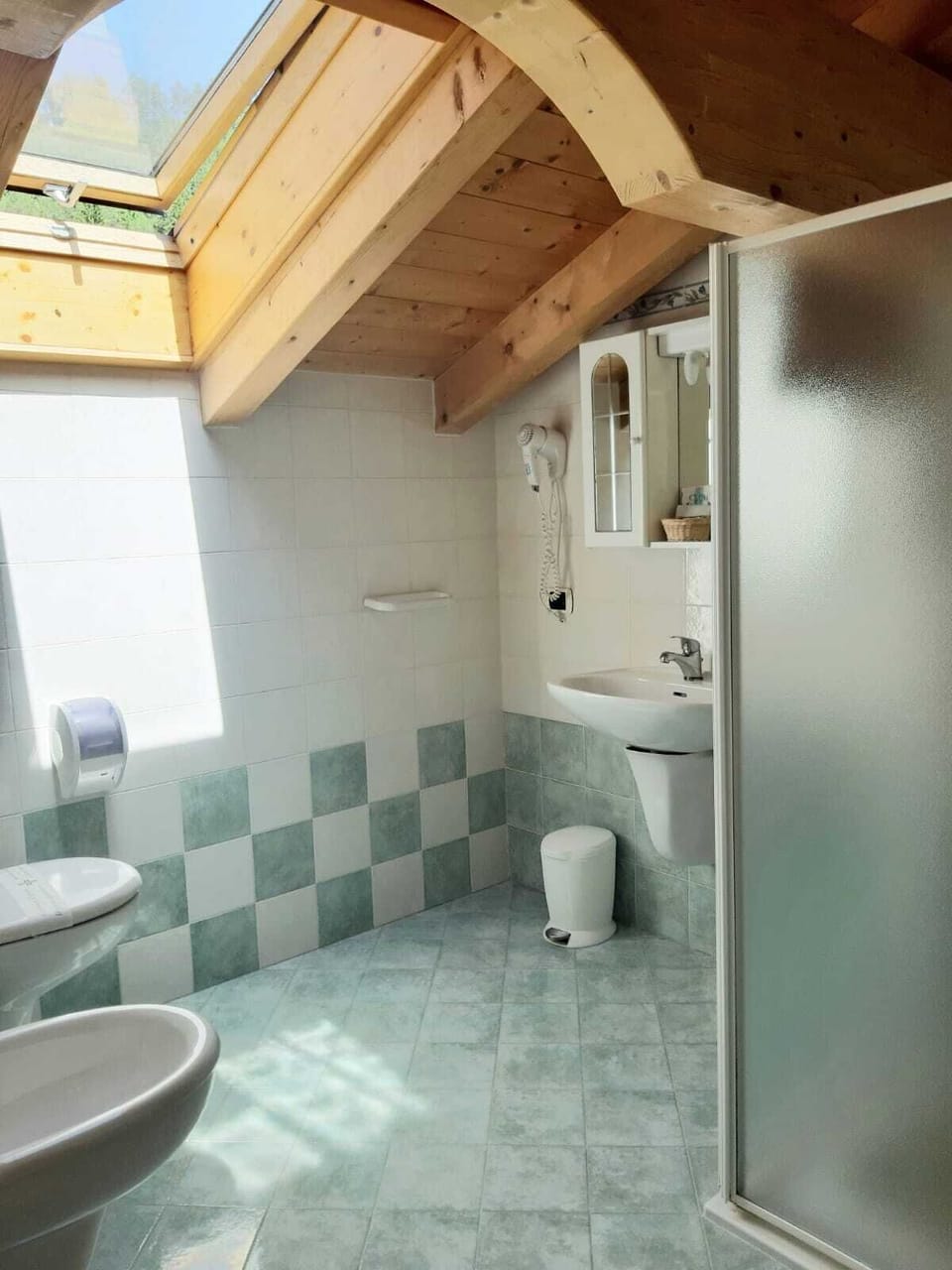 Rainfall showerhead, hair dryer, bidet, towels