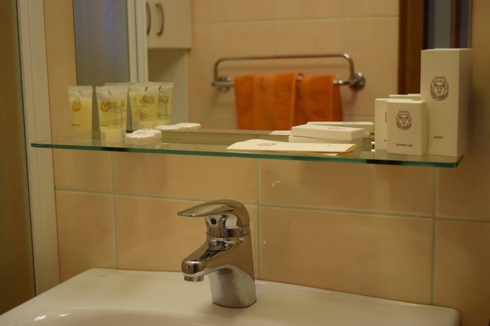 Classic Double Room | Bathroom sink