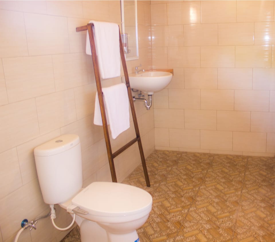 Deluxe Double Room | Bathroom | Shower, towels, soap, shampoo