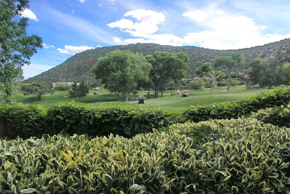 View out the Main Bedroom window.