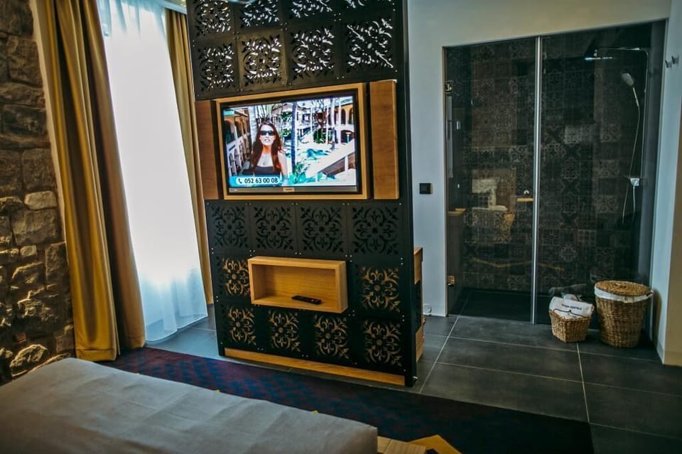 TV and multimedia