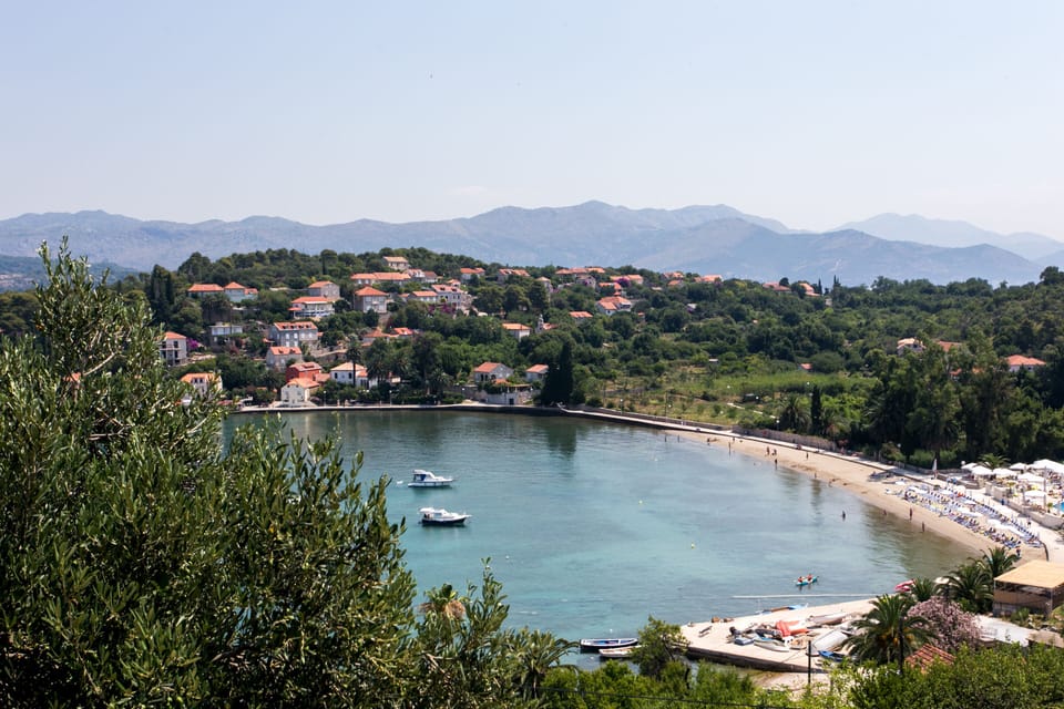 View