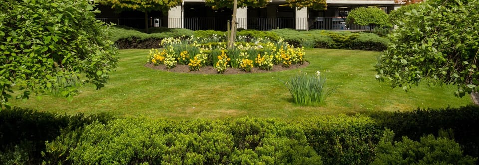 Communal gardens