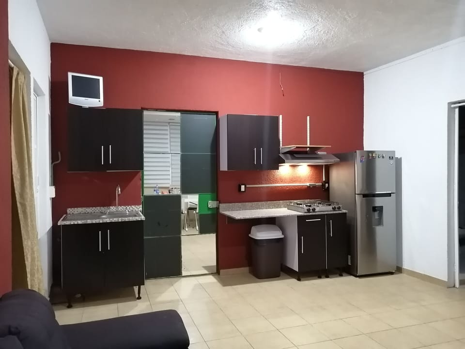 Deluxe Apartment | Private kitchen | Shared fridge, microwave, freezer