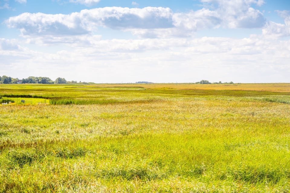 The marsh is right on the doorstep