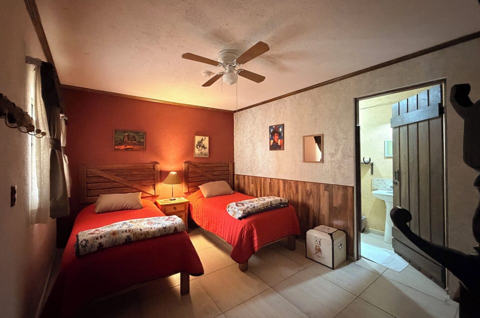 Habitacion Estandar (Pet Friendly) | Down comforters, individually decorated, individually furnished, desk
