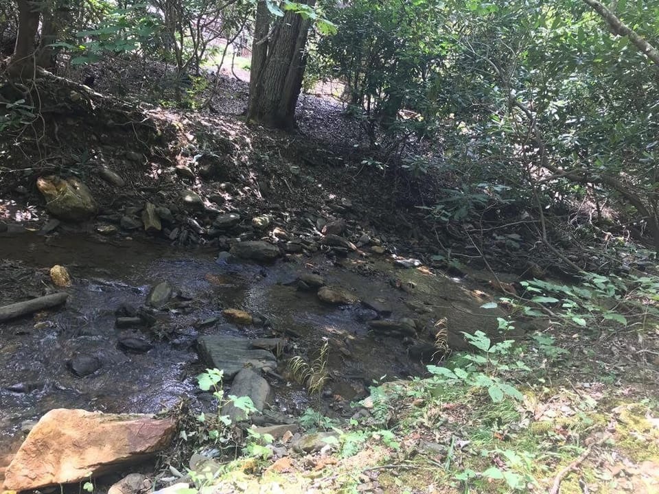 Running creek right off porch.