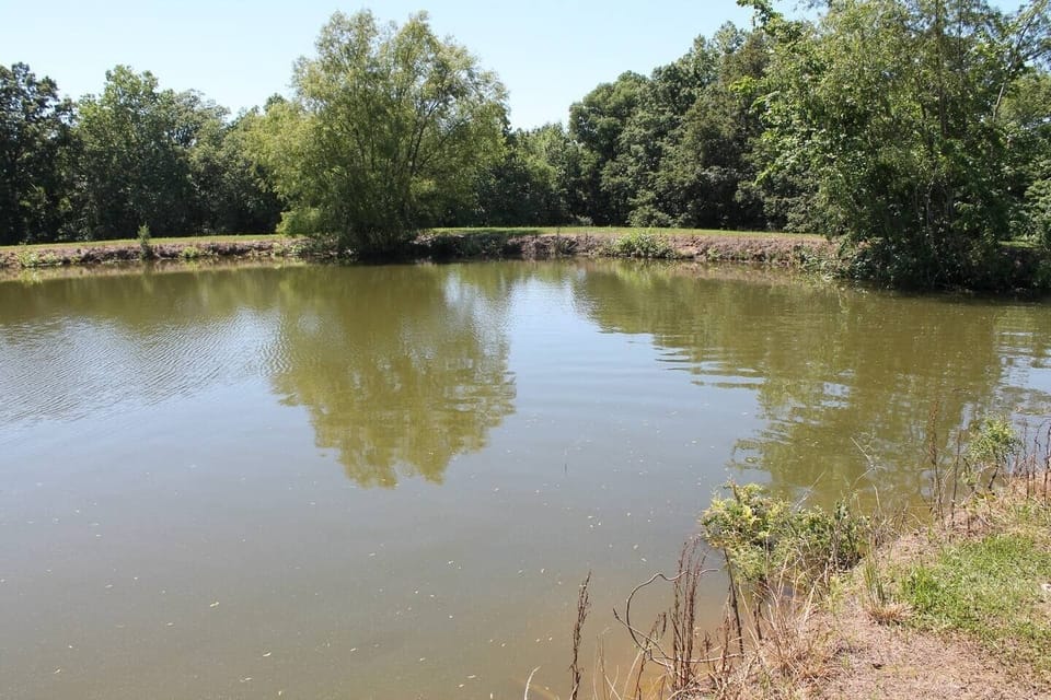 Peaceful 1-acre fishing pond | Relax, cast a line, or enjoy the view in this serene country setting.